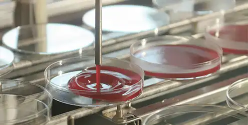 Kullanıma hazır besiyerleri